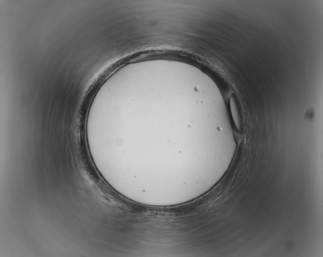 X0000116130676200912211716