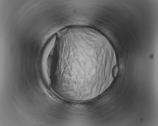 X0000116130677200912211716