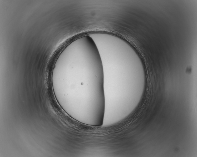 X0000116130680200912211715
