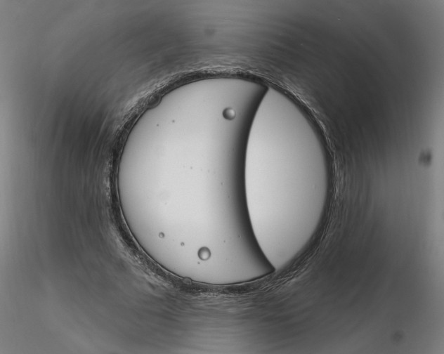 X0000116130681200912211715