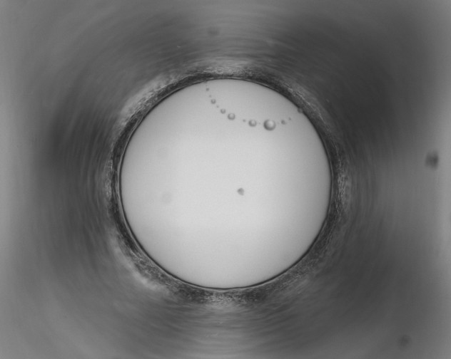 X0000116130682200912211715