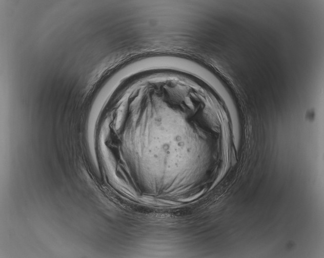 X0000116130685200912211715
