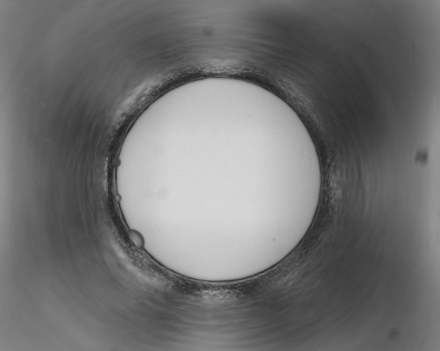 X0000116130686200912211715