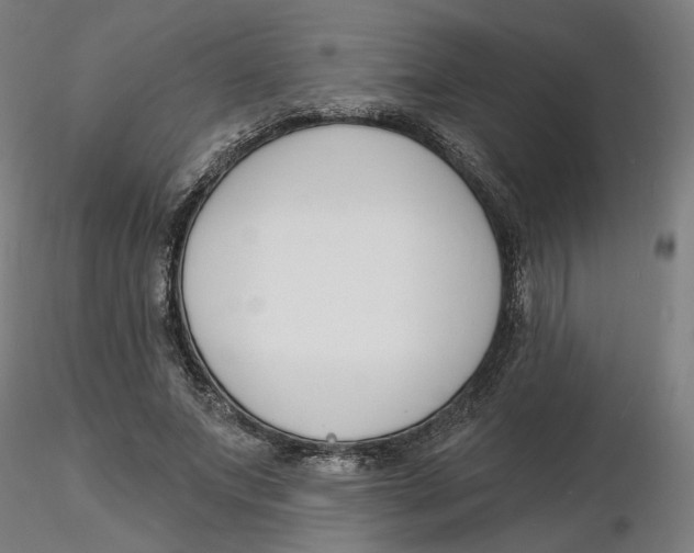 X0000116130687200912211715