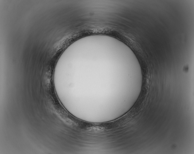 X0000116130691200912211715