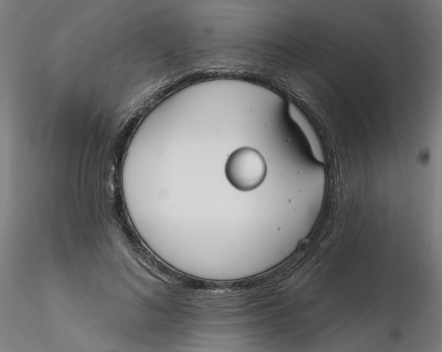 X0000116130692200912211715