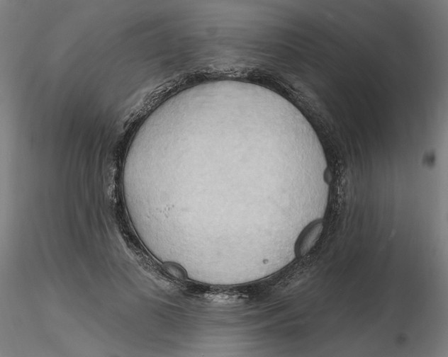 X0000116130693200912211715