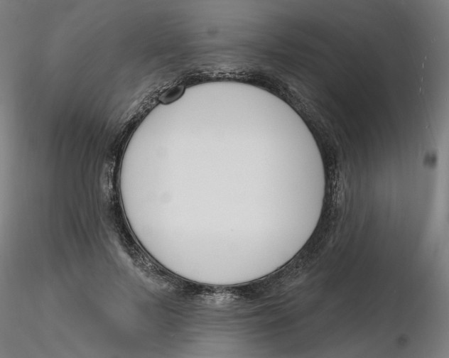 X0000116130695200912211715