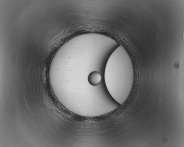 X0000116130696200912211715