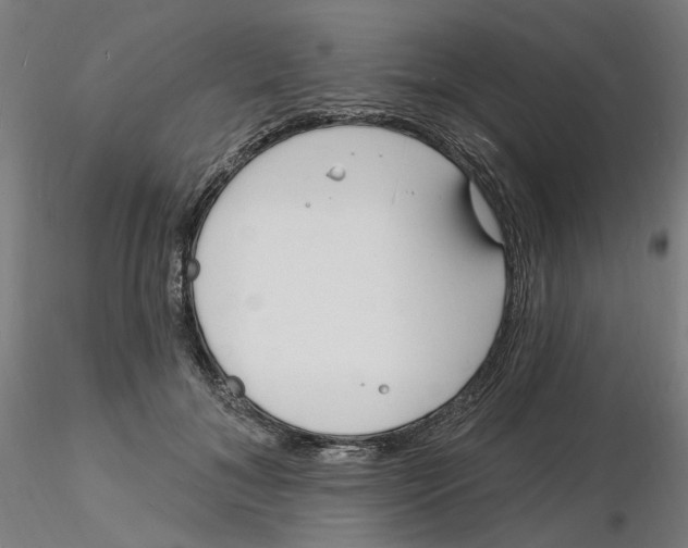 X0000116130700200912211715