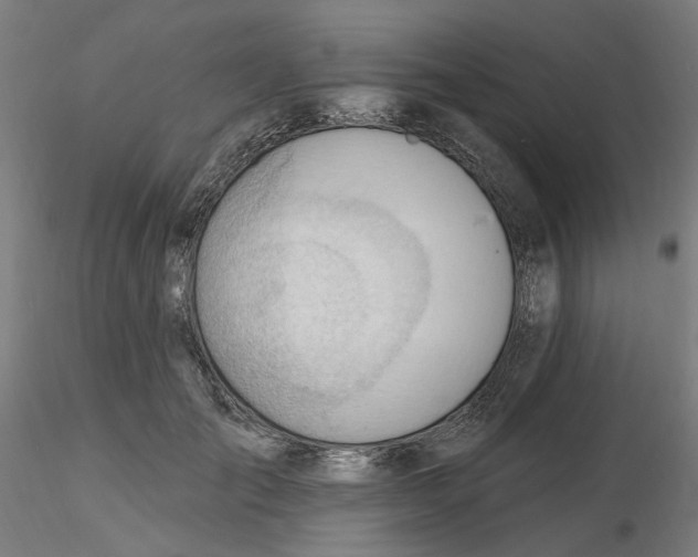 X0000116130701200912211715