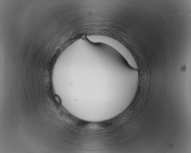 X0000116130704200912211715