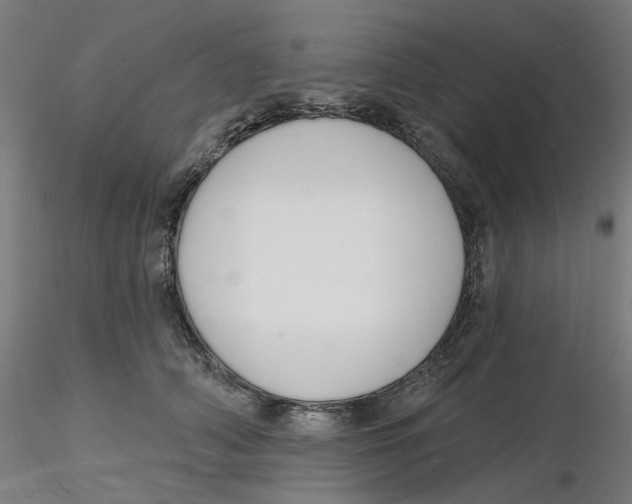 X0000116130706200912211715