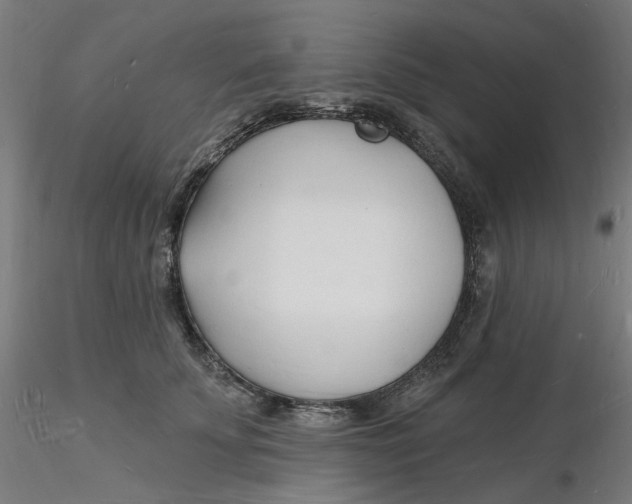 X0000116130707200912211715