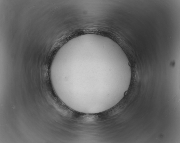 X0000116130711200912211715