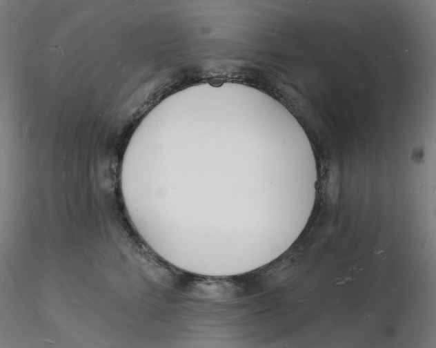 X0000116130712200912211715