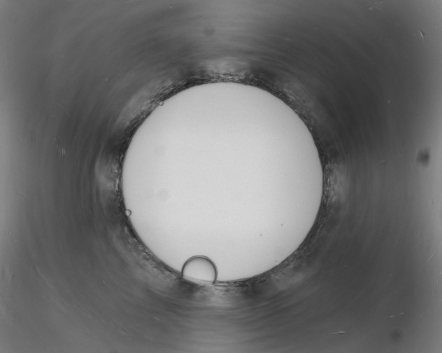 X0000116130713200912211715