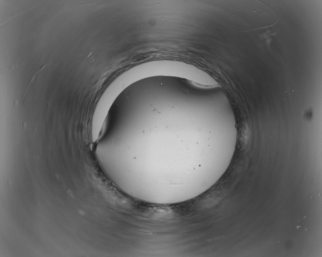 X0000116130715200912211715