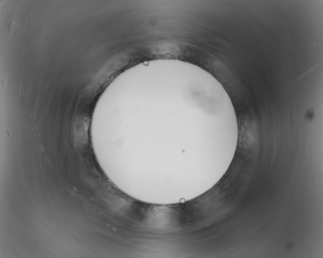 X0000116130717200912211715