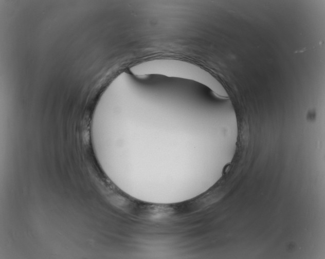 X0000116130719200912211715