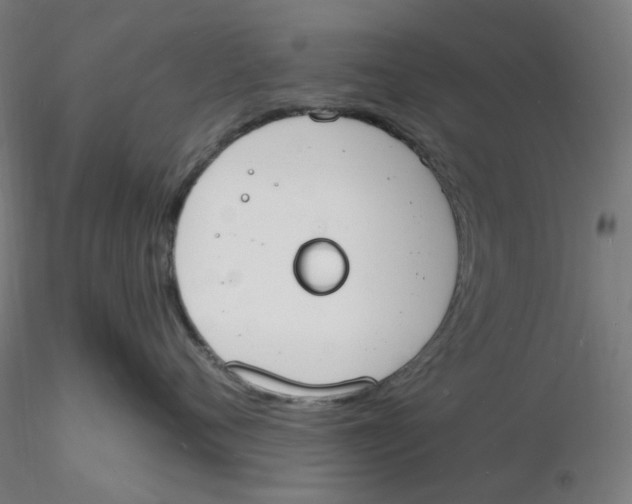 X0000116130720200912211715
