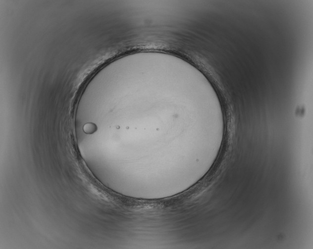 X0000116130721200912211714