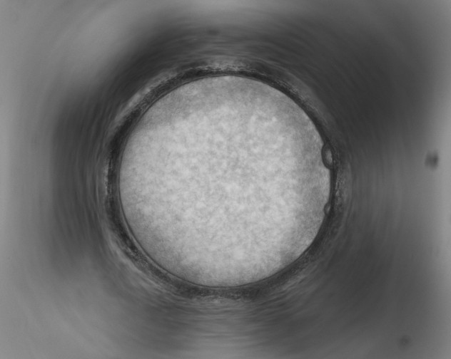 X0000116130722200912211714