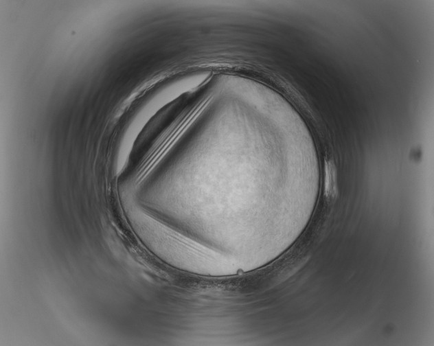 X0000116130723200912211714
