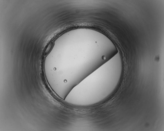 X0000116130725200912211714