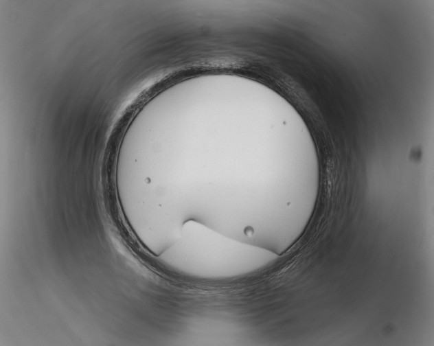 X0000116130726200912211714