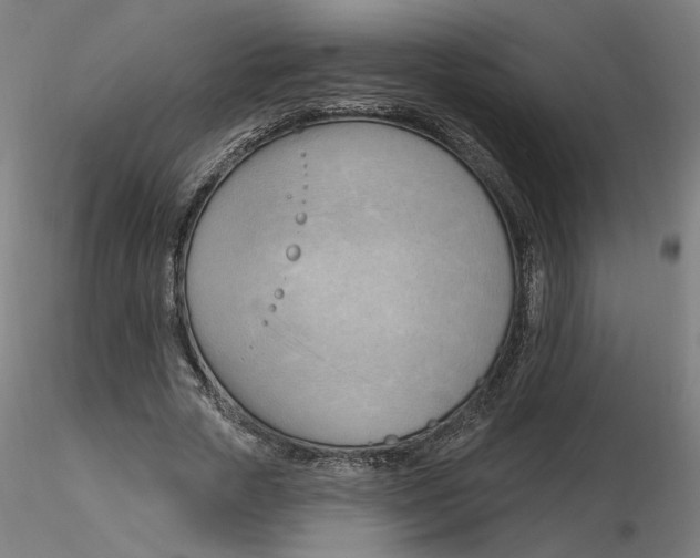 X0000116130729200912211714