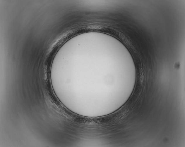 X0000116130731200912211714