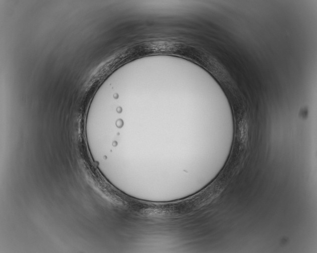 X0000116130733200912211714