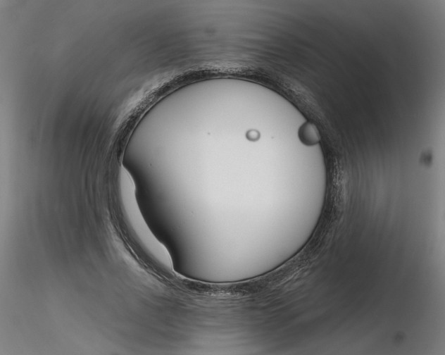 X0000116130734200912211714