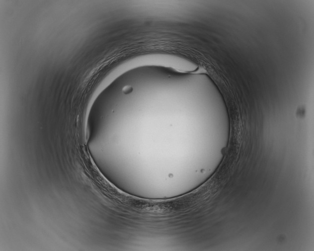 X0000116130735200912211714