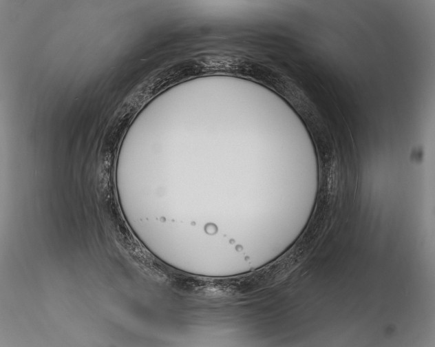 X0000116130737200912211715