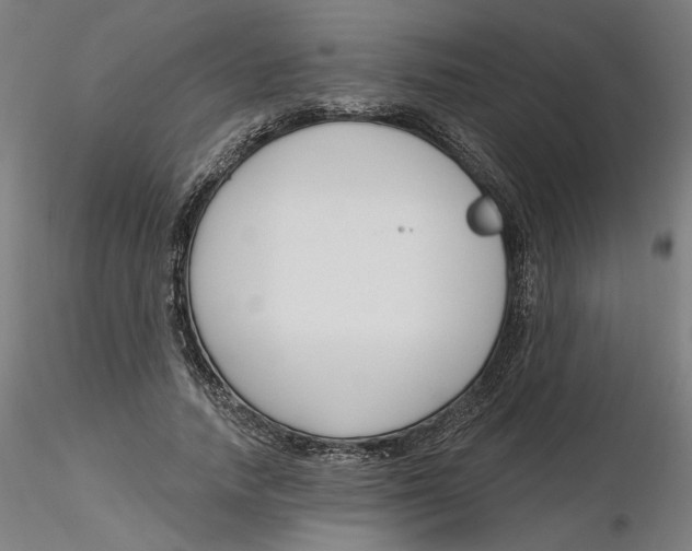 X0000116130738200912211715