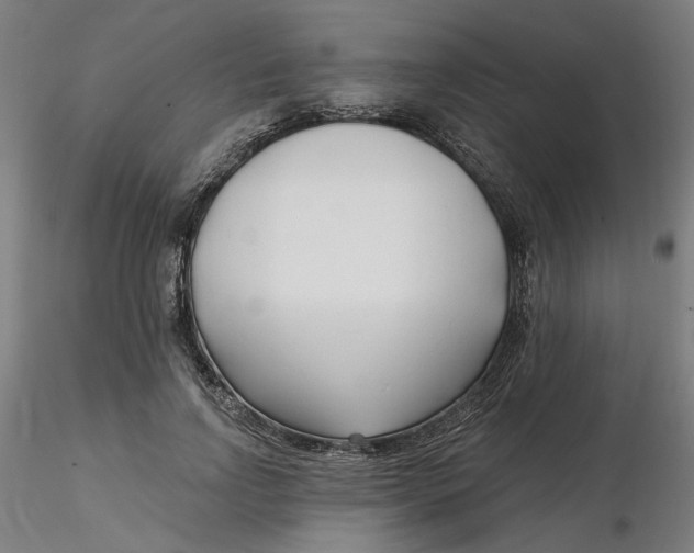 X0000116130742200912211715