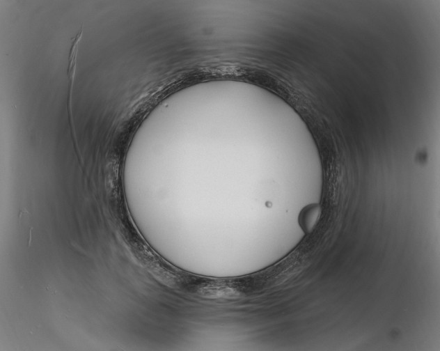 X0000116130747200912211715