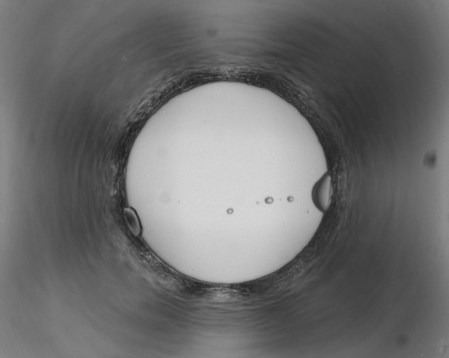 X0000116130750200912211715