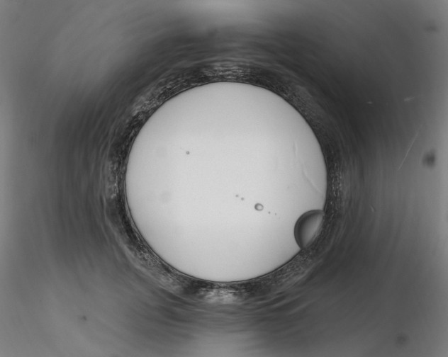 X0000116130751200912211715