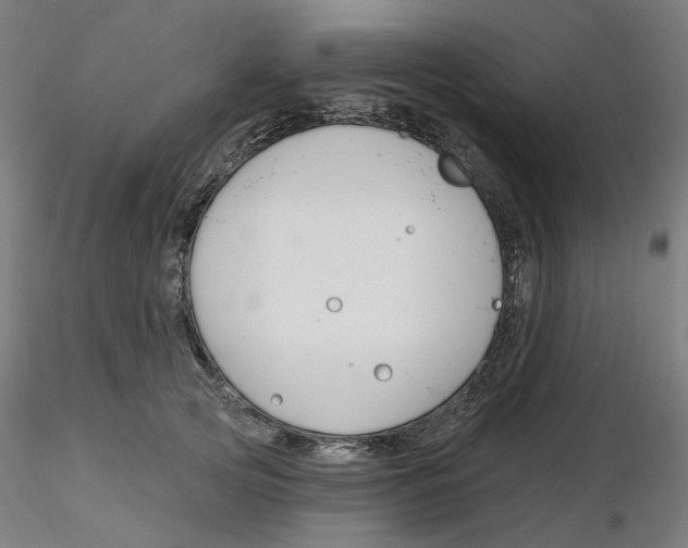 X0000116130753200912211715