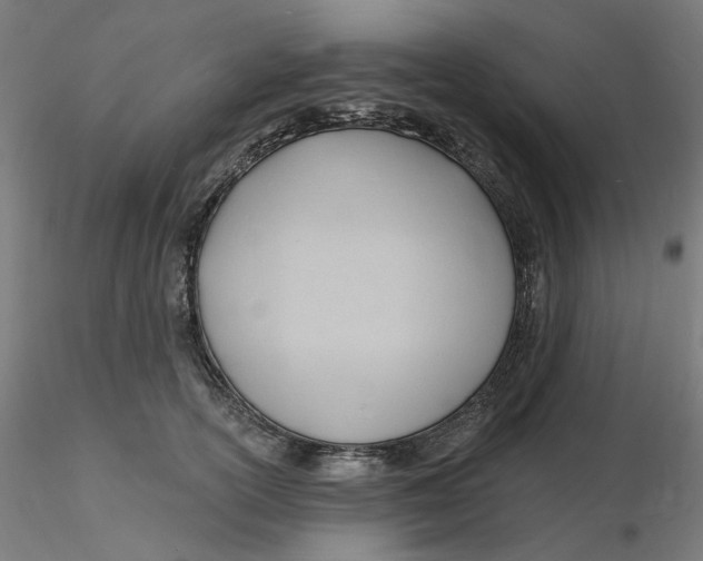 X0000116130754200912211715
