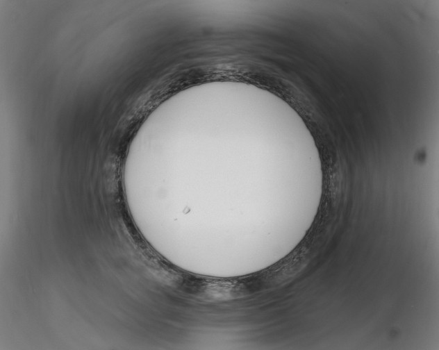 X0000116130757200912211715