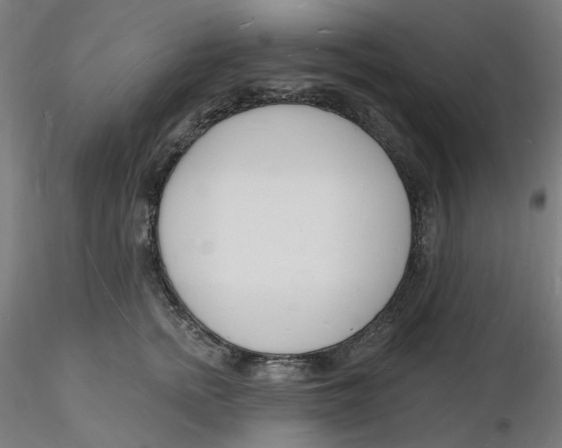 X0000116130758200912211715