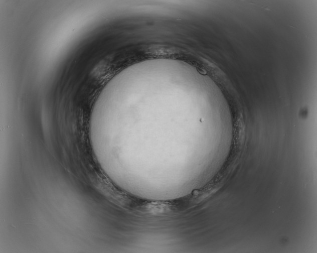 X0000116130762200912211715
