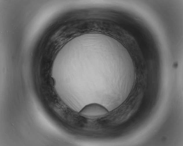 X0000116130766200912211715