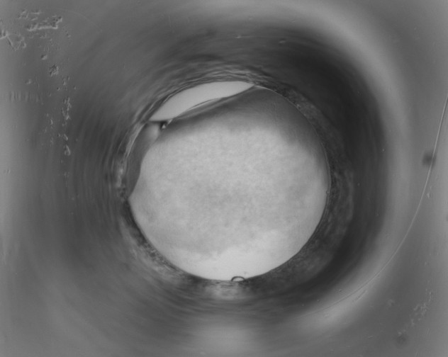 X0000116130767200912211715