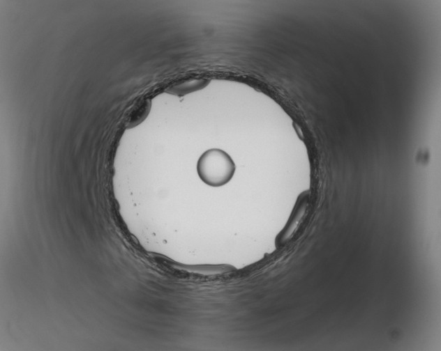 X0000116130769200912211714