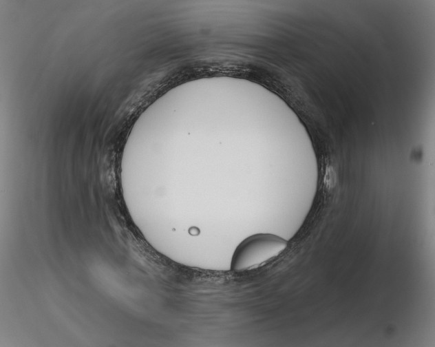 X0000116130771200912211714